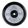 Диск хромированный DFC WP031-26-20 кг Диск хромированный DFC WP031-26-20 кг